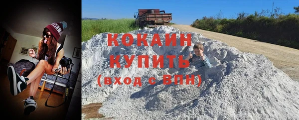кокс Алексин